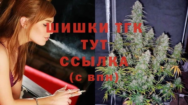 сатива Армянск